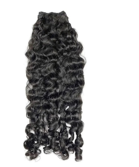 Burmese curly